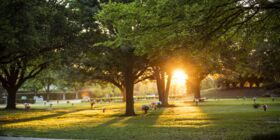 Sunset behind the trees at a cemetery